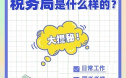 国考税务职位有何报考要求？