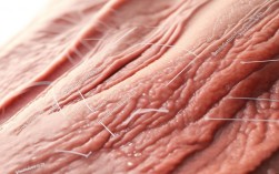 皮肤常识有哪些？新手必看的护肤误区解答