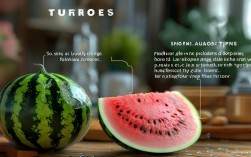 生活小常识如西瓜冒汗，西瓜冒汗类似的小常识