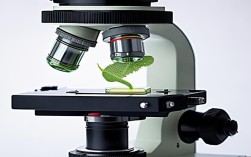 显微镜基础常识2025年最新版有哪些更新？