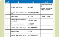 英语简单医学常识能帮普通人看懂体检报告吗？