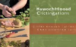 葡萄硬枝扦插育苗，这些细节你注意到了吗？