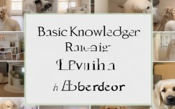 新手养拉布拉多必知的30条基本常识有哪些？