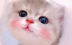 国考山东好考吗？竞争激烈吗？进面分数高吗？