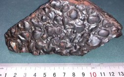 国考标本考试具体怎么考？