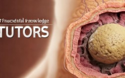 2025最新肿瘤常识，哪些信号最该警惕？