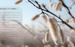 柳絮过敏季来了？身体危害如何防护？