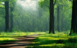 今年中班下常识课，桃花开得这么早吗？