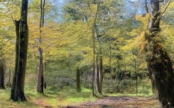 国考一个教室能容纳多少人？