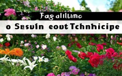 种花常识，新手必看，家庭养花怎么才能养好？