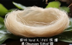 燕窝是常识？2025年最新研究还靠谱吗？