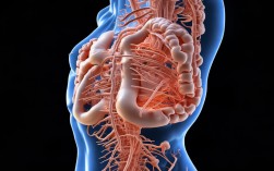 肠道疾病高发季，这些常识你get了吗？