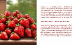 草莓的小常识有哪些？新手必知的草莓冷知识？