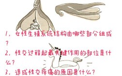 女生必知的性常识有哪些？