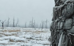 数九寒天冷成这样？这些保暖常识你get了吗？