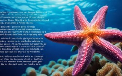 海星暴发成灾？生态失衡还是自然调节？