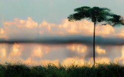 高原旅行必备卫生常识？最新防病指南来了！