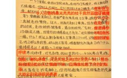 常识与非常识 作文