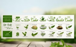 绿茶常识有哪些？新手必知的绿茶知识科普？