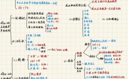 Word基础常识有哪些？