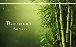 文竹怎么养才能不黄叶？新手必看的养护技巧有哪些？