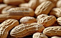 落花生的常识有哪些？