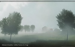 雾是如何形成的？