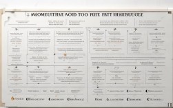 2025最新减脂常识有哪些？科学减脂关键点是什么？