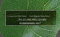 叶脉小常识，叶脉有哪些类型和作用？