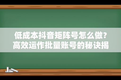 低成本抖音矩阵号怎么做？高效运作批量账号的秘诀揭秘