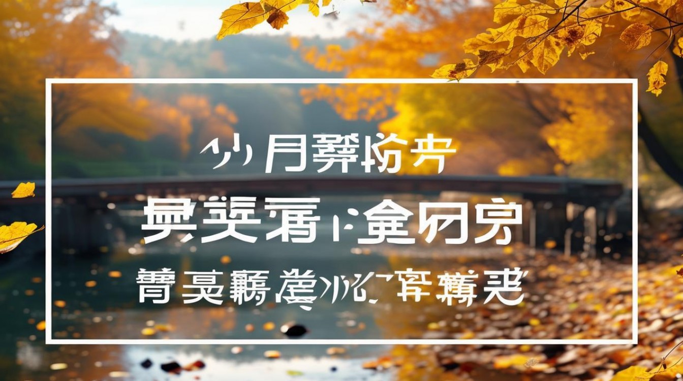 秋什么直播