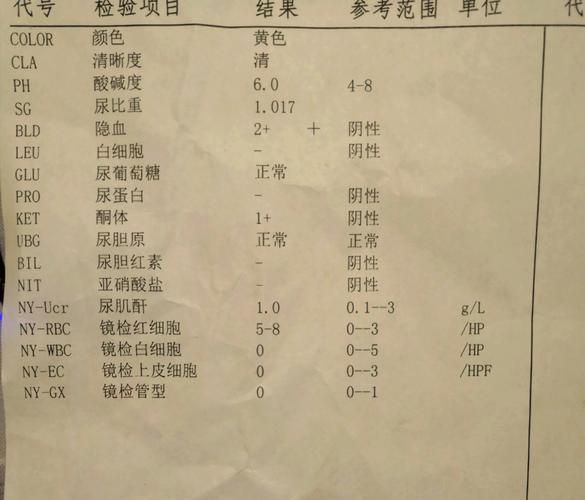 国考体检结果多久出来-图3