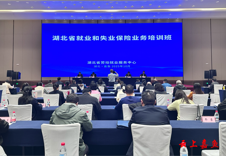 嘉鱼国考培训如何高效备考上岸？-图2