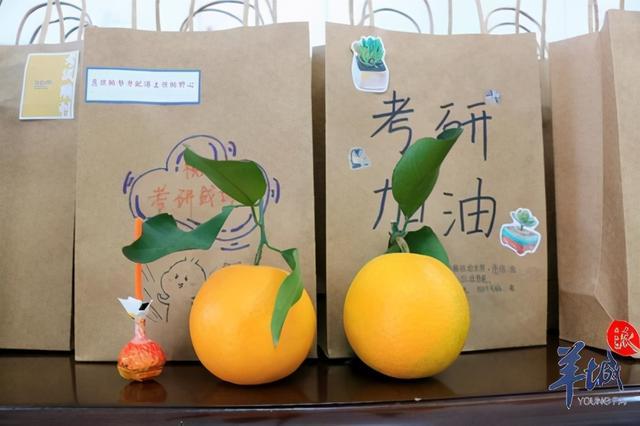 李思国考有何备考秘诀或成功经验？-图3