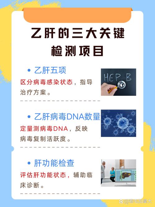 国考乙肝报考有限制吗？体检标准如何规定？-图3