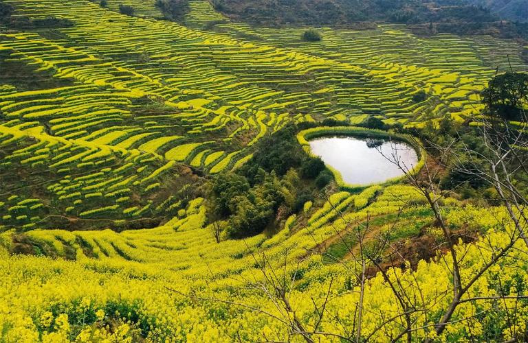 婺源国考何时报名？条件有哪些？-图3