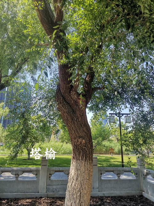 榆树国考何时开始报名？-图2