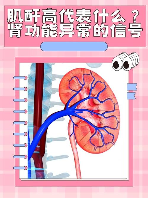 国考体检肾指标异常会影响录用吗？-图2