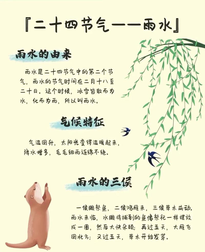 大班雨水教案，常识要点与活动设计如何结合？-图2