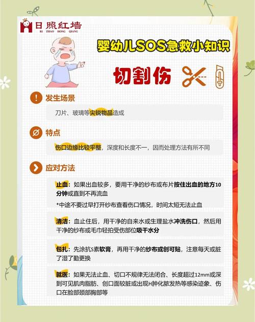 幼儿急救常识教案，教孩子还是教老师？-图2