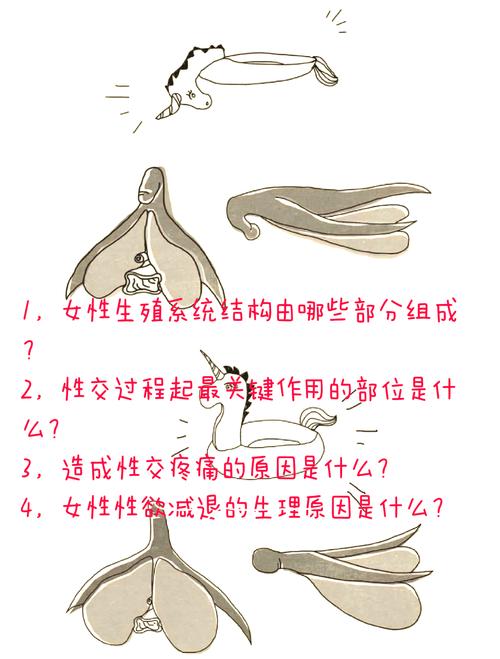 女生必知的性常识有哪些?-图1 女生必知的性常识有哪些?-图1