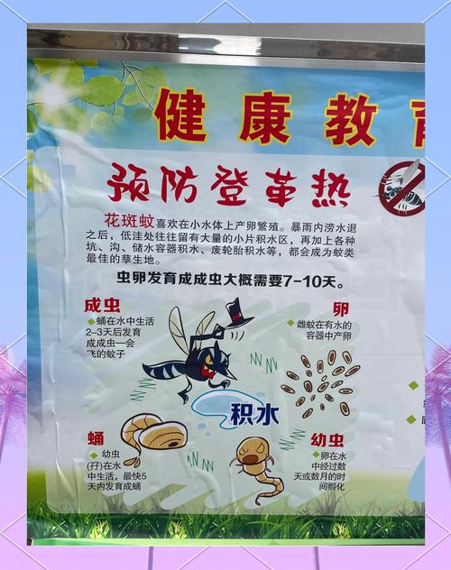 登革热如何有效预防？-图2