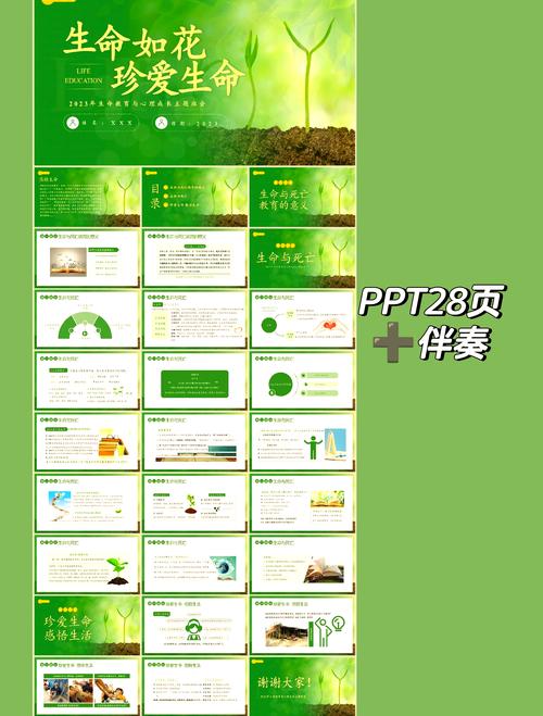 生命与健康常识PPT有哪些核心要点?-图1 生命与健康常识PPT有哪些核心要点?-图1