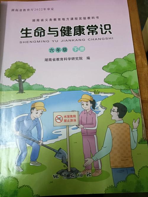 生命与健康常识PPT有哪些核心要点?-图2 生命与健康常识PPT有哪些核心要点?-图2