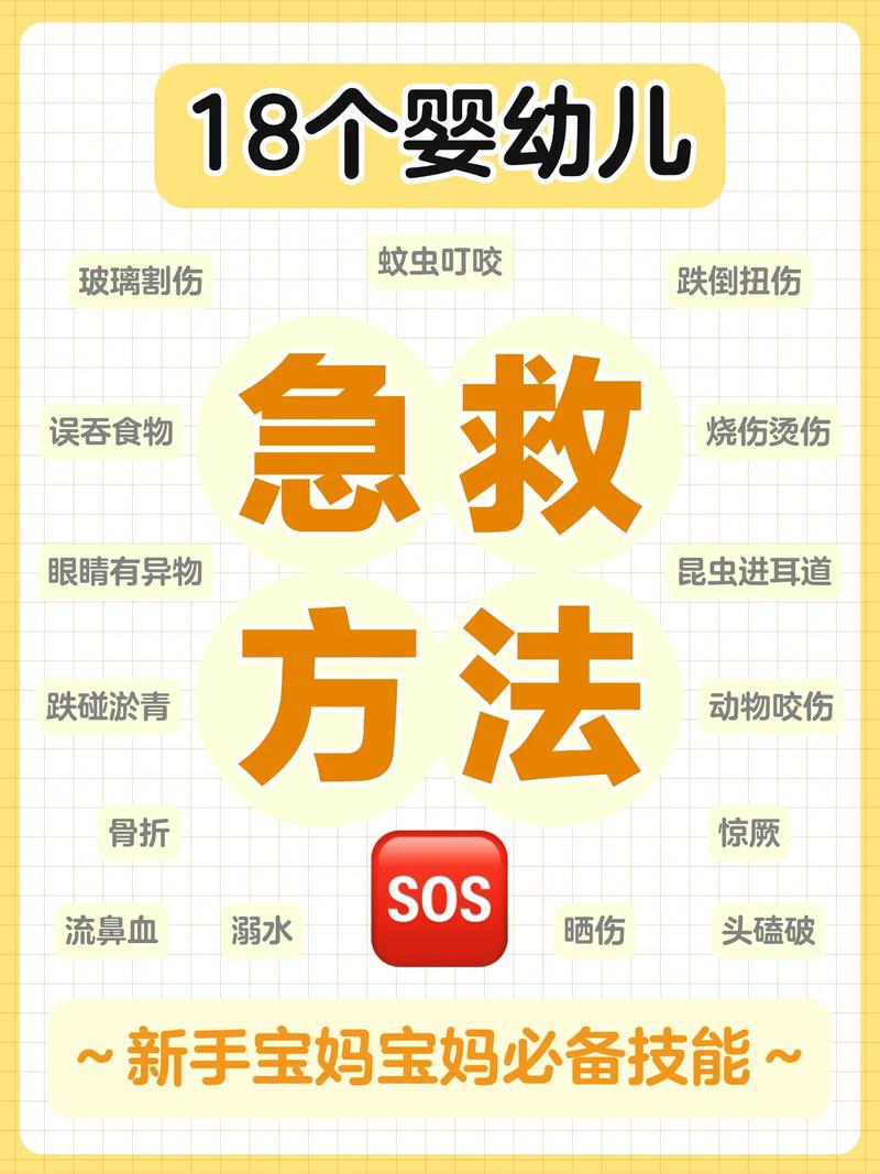 现场急救常识dvd-图2 现场急救常识dvd-图2