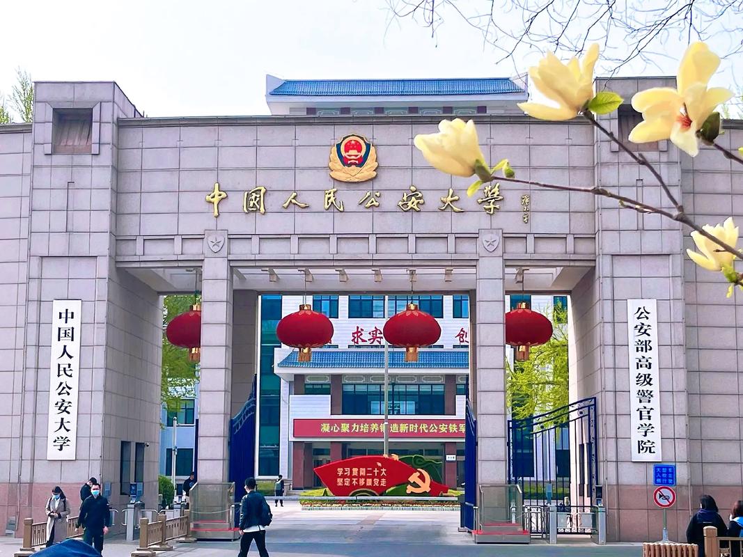 国考 京考 北京法院-图3