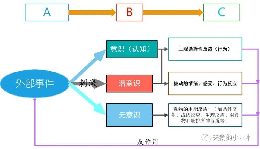 常识理论与现场理论的核心差异究竟是什么？-图2