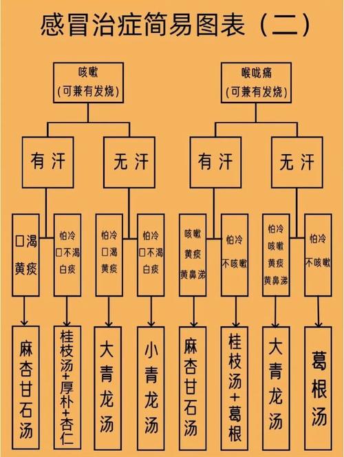 古代文化常识 医药-图3
