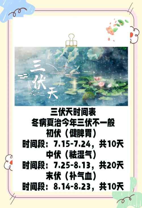 三伏天养生常识常识-图3