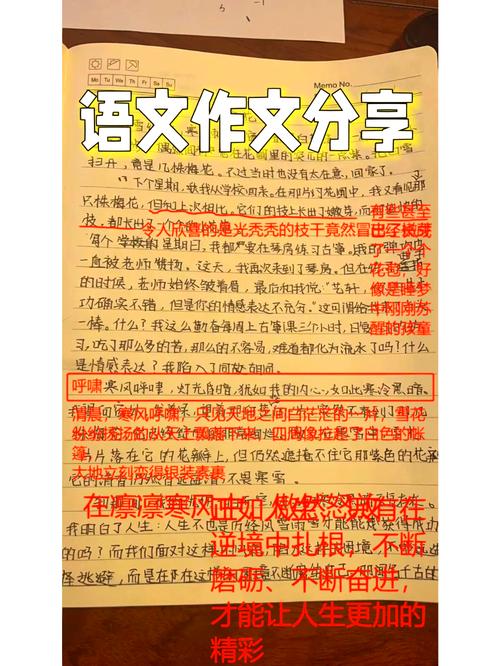 常识与非常识 作文-图1